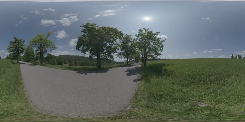 Sunny Country Road