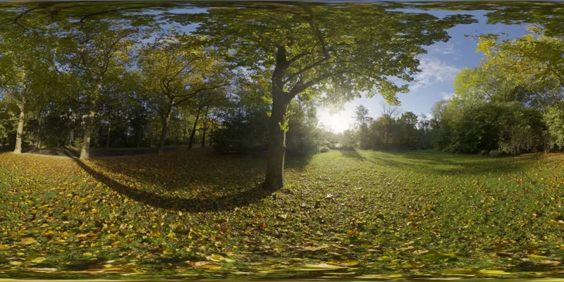 Sunny Vondelpark
