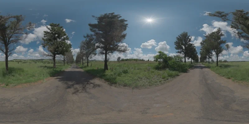 Tree Lined Driveway