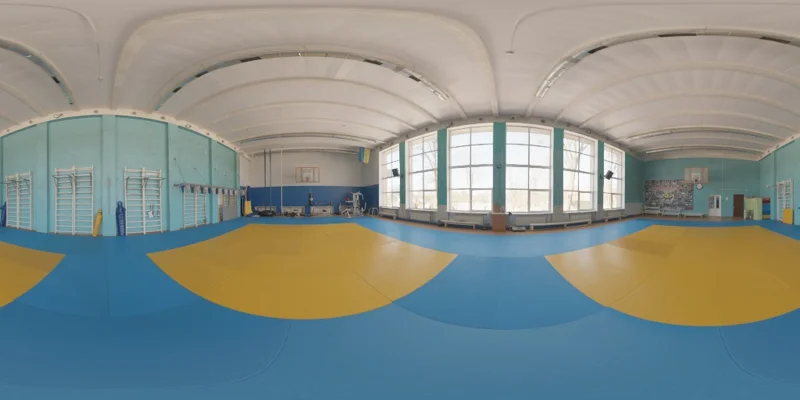 Wrestling Gym