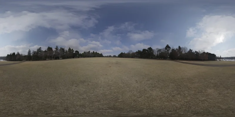 Yellow Field