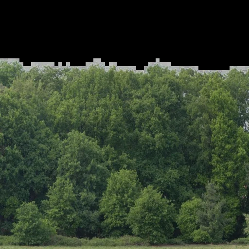 Backdrop 002