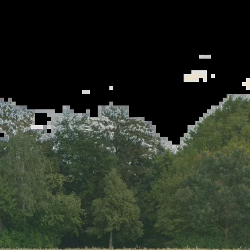 Backdrop 003