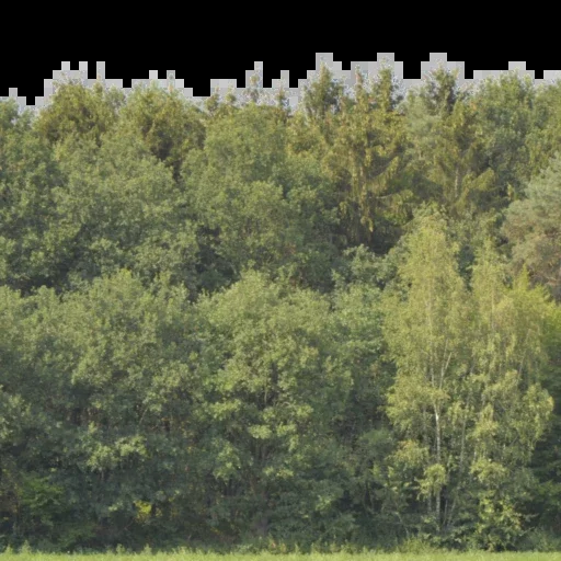 Backdrop 004