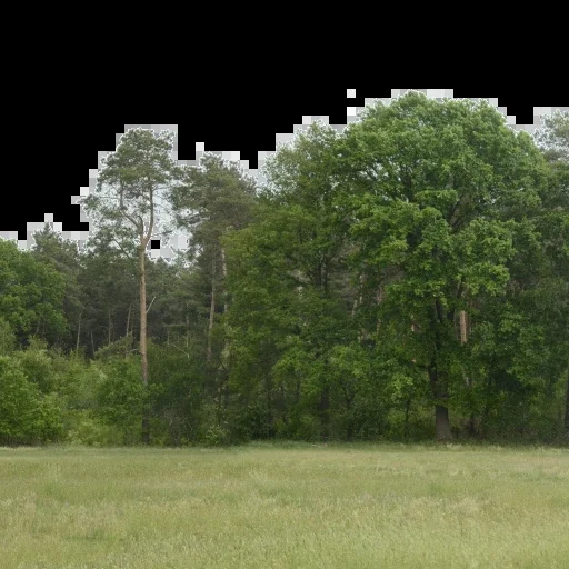 Backdrop 007
