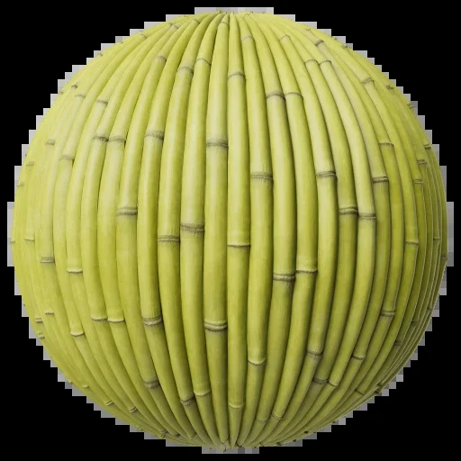 Bamboo 001 A