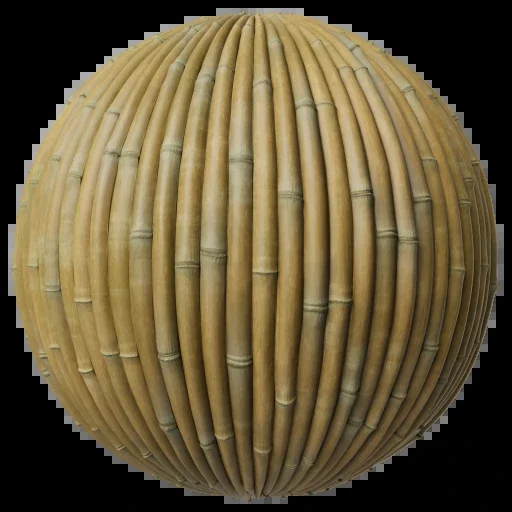 Bamboo 001 C