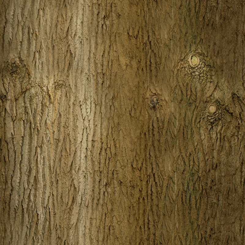 Bark Brown 01