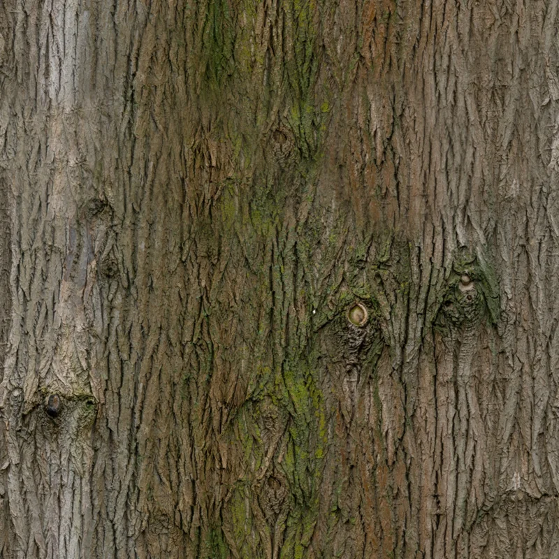 Bark Brown 02