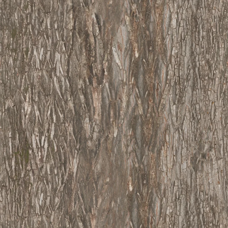 Bark Willow 02