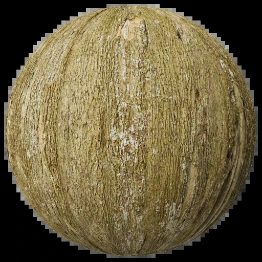 لحاء 015