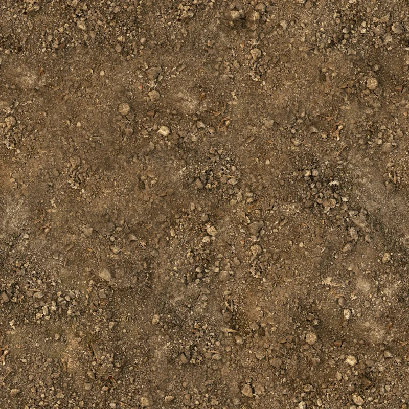Brown Mud Dry