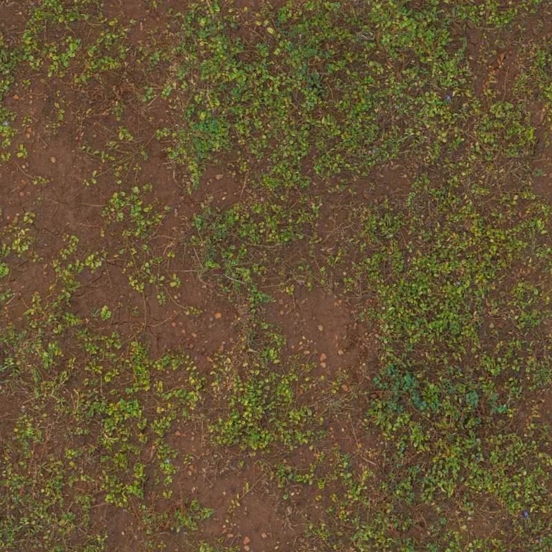 Brown Mud Leaves 01