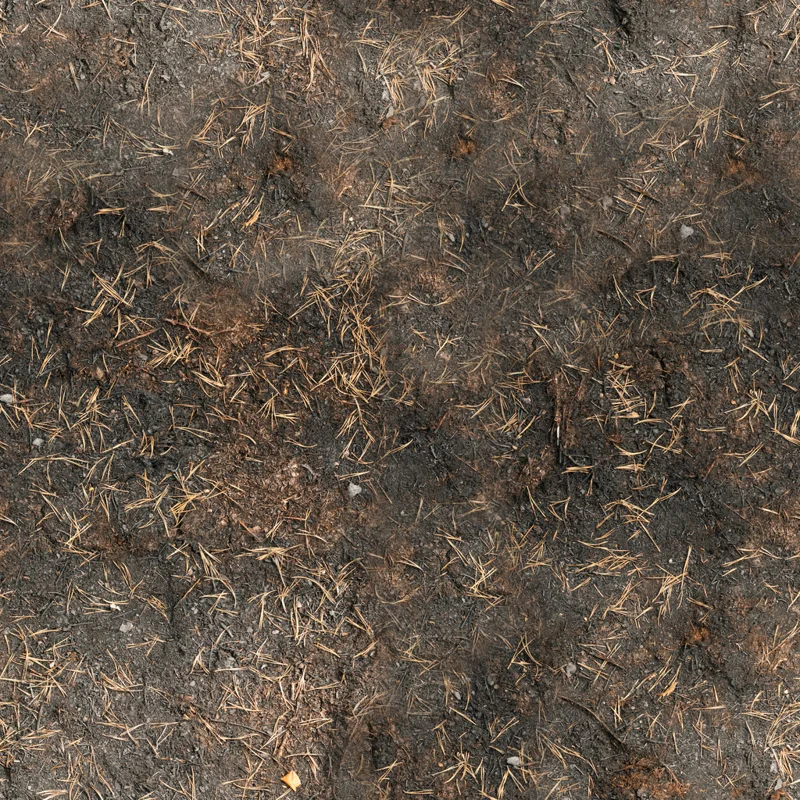Burned Ground 01