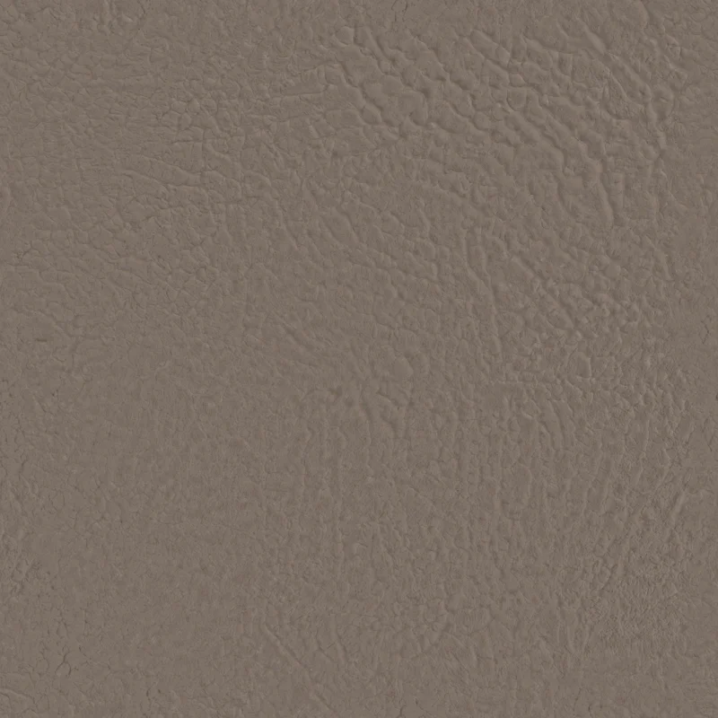 Ceiling Interior