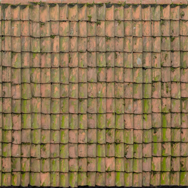 Ceramic Roof 01