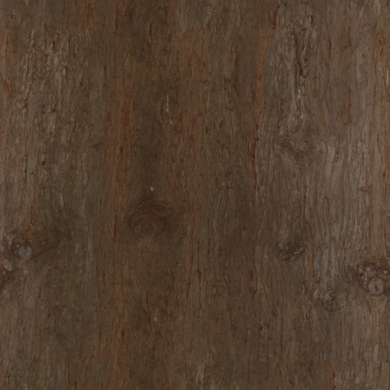 Chinese Cedar Bark