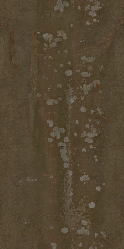 Chinese Hackberry Bark