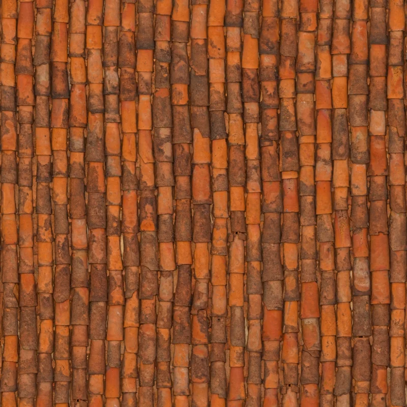 Clay Roof Tiles 02