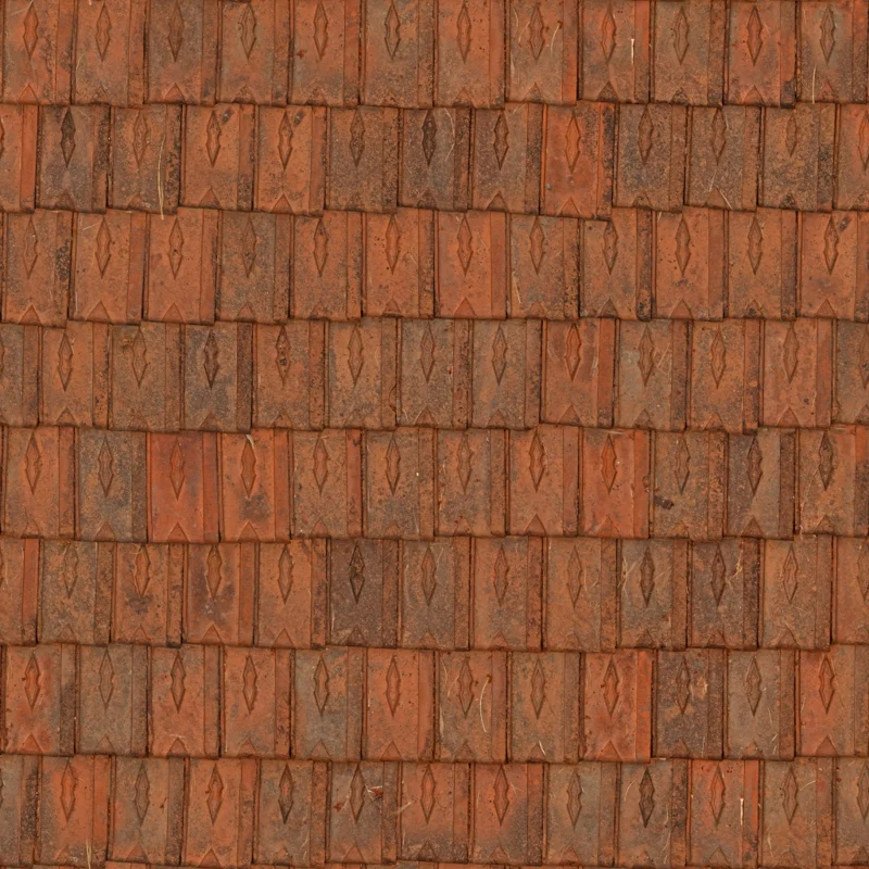 Clay Roof Tiles 03