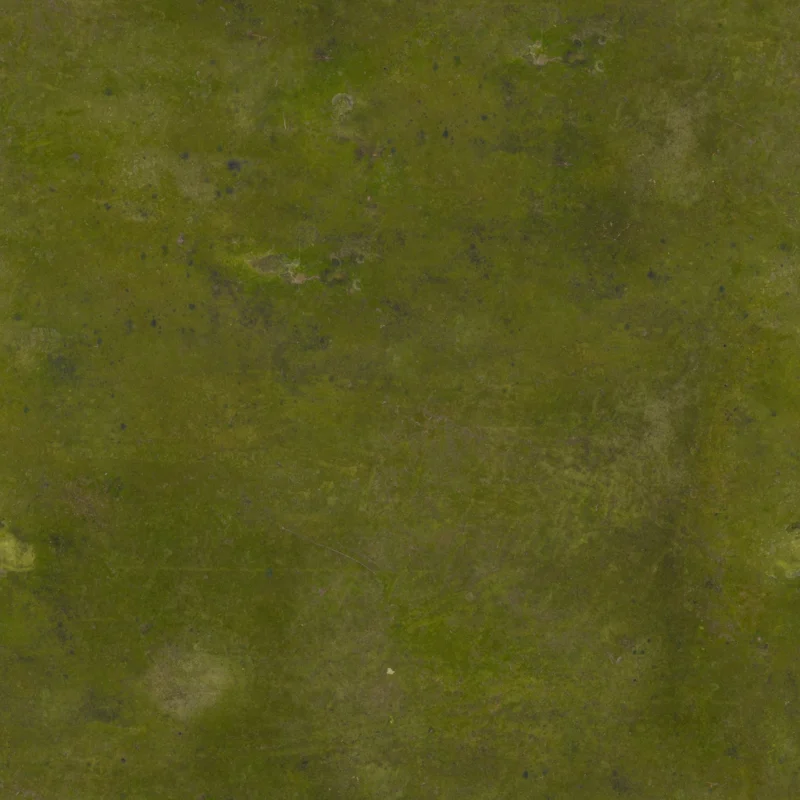 Concrete Moss