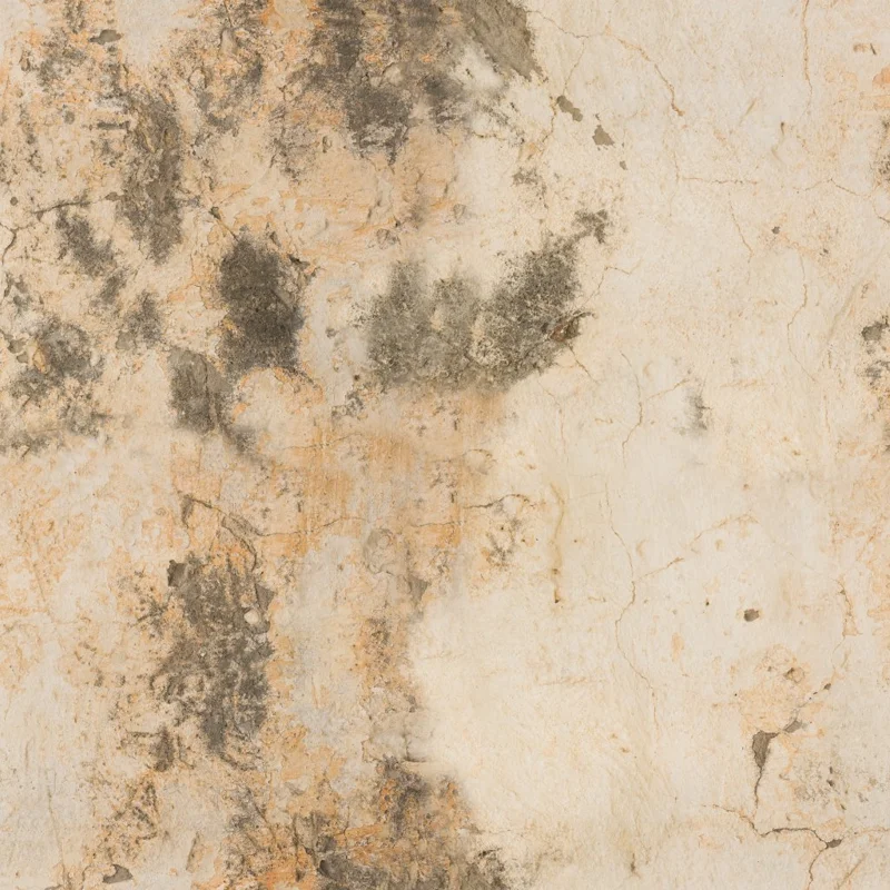Concrete Wall 003
