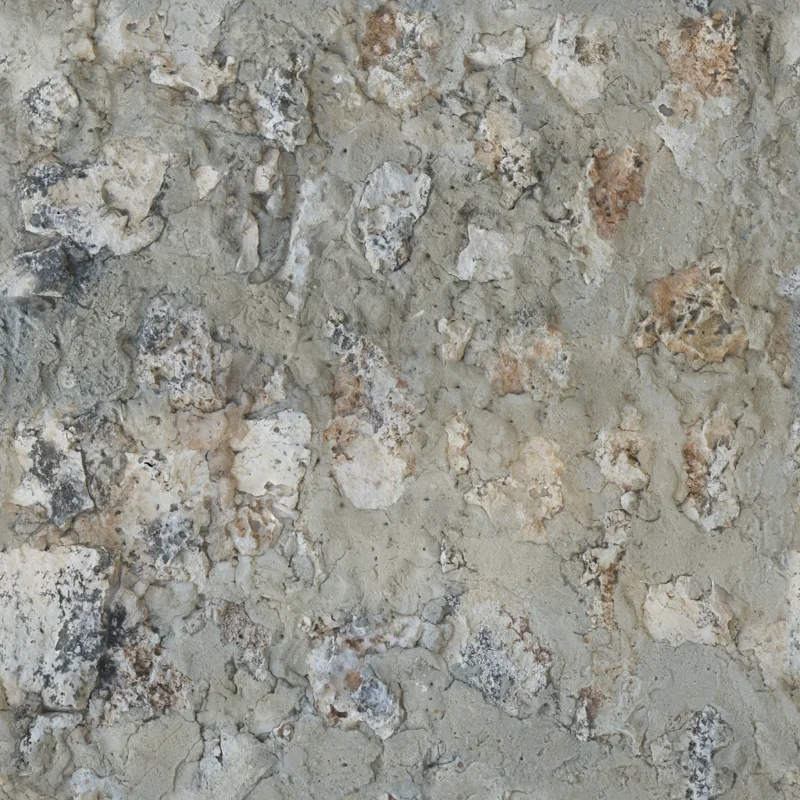 Coral Fort Wall 01