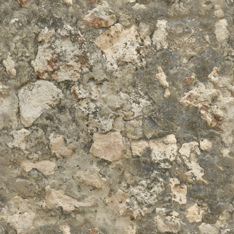 Coral Fort Wall 02
