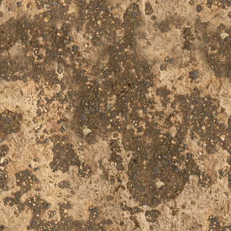 Coral Ground 02
