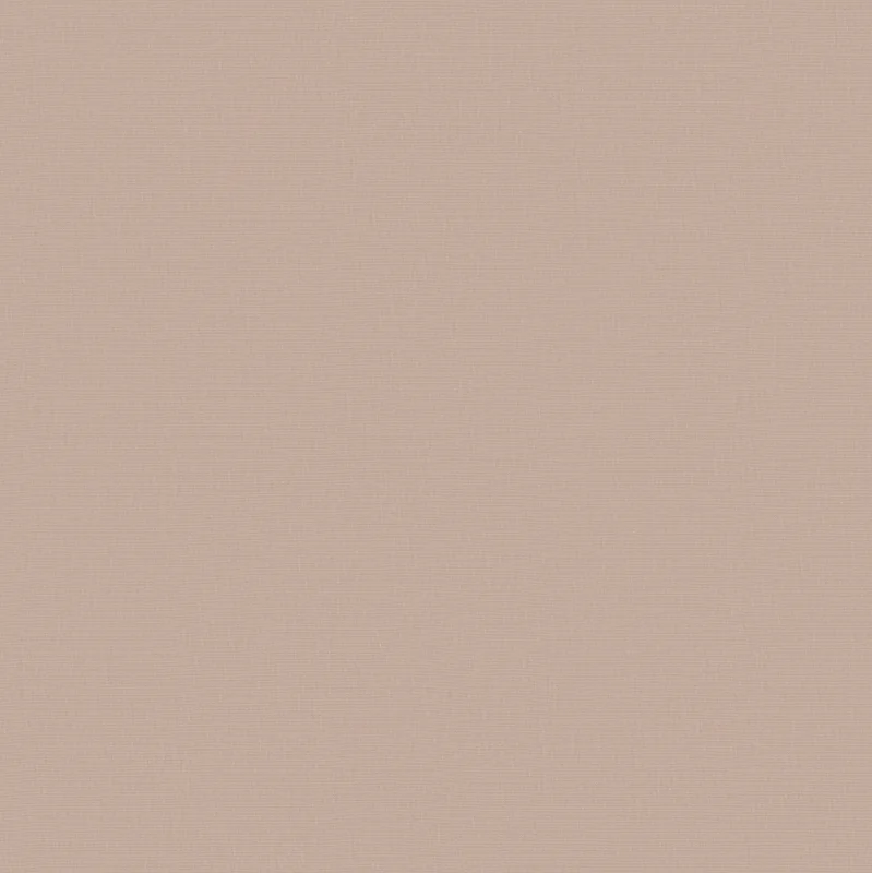 Cotton Jersey