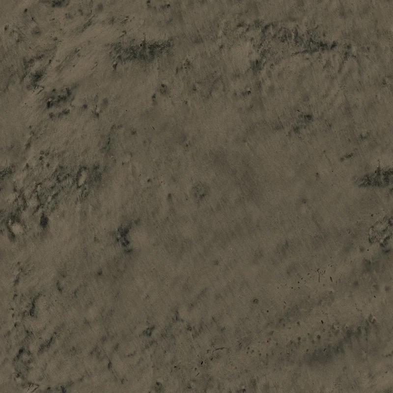Damp Beach Sand 02