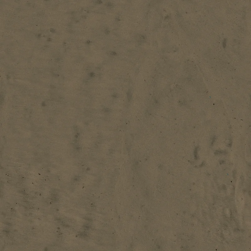 Damp Beach Sand