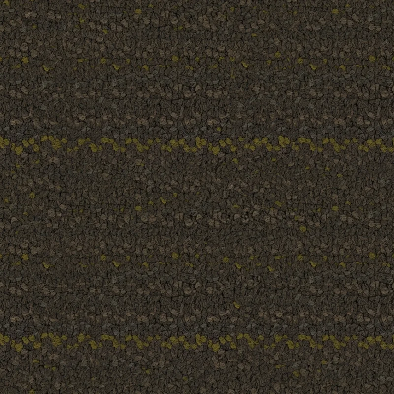 Dirty Carpet