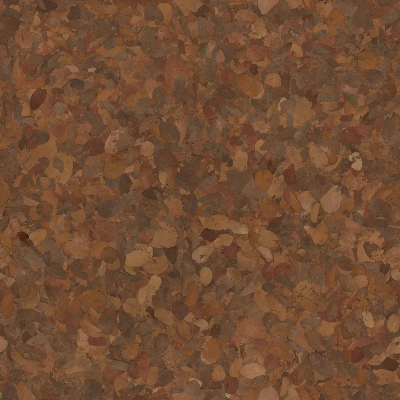 Dry Decay Leaves