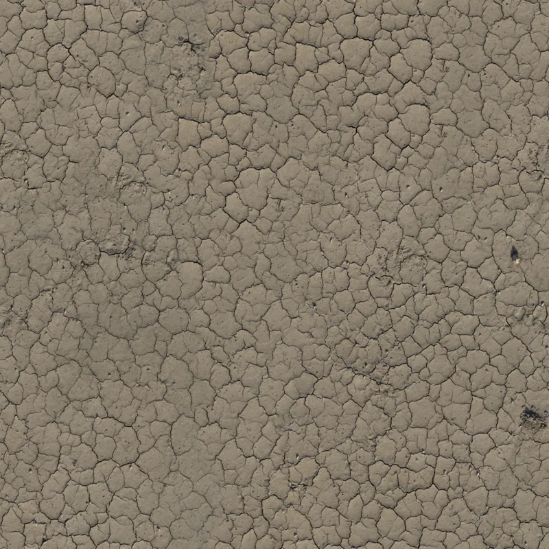 Dry Ground 01