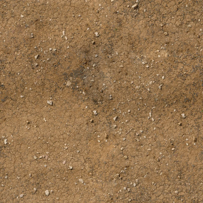 Dry Ground Rocks