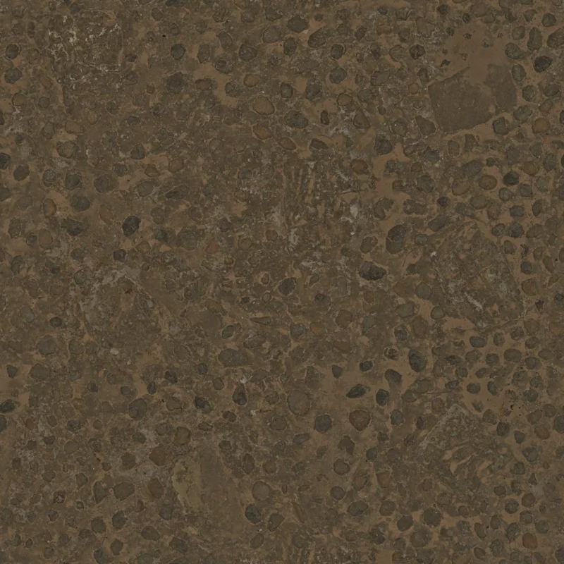 Embedded Rock Floor