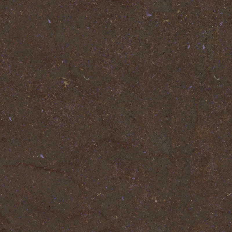 Flower Scattered Asphalt