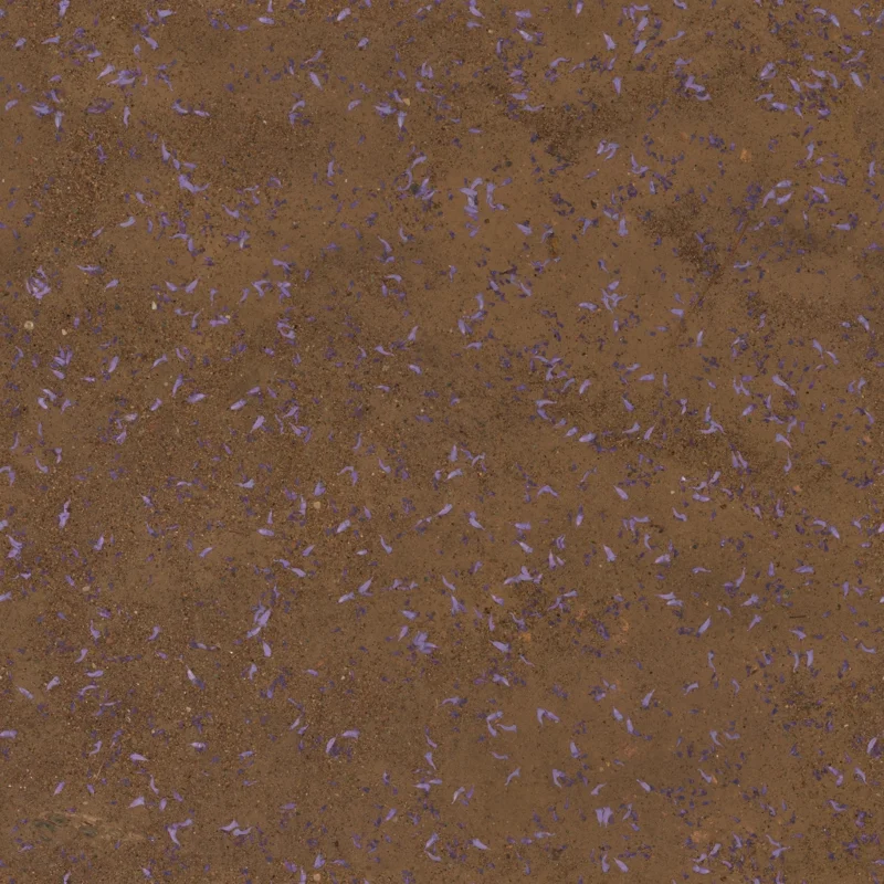 Flower Scattered Dirt