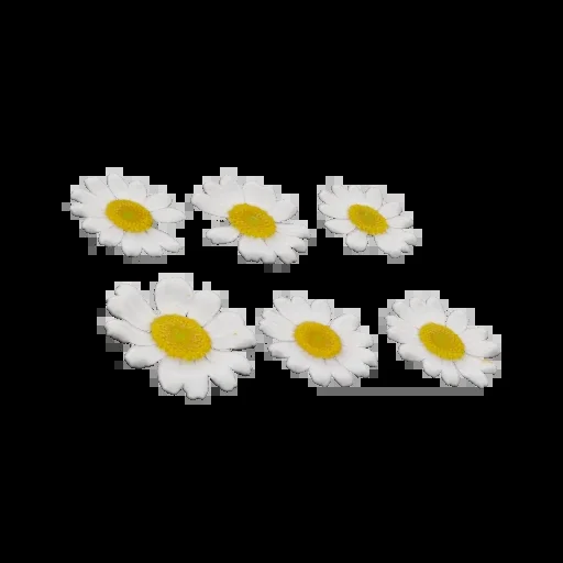 Flower Set 001