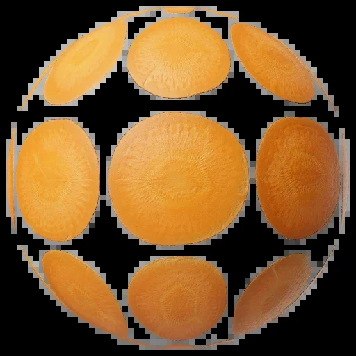 Food Cross Section Set 001