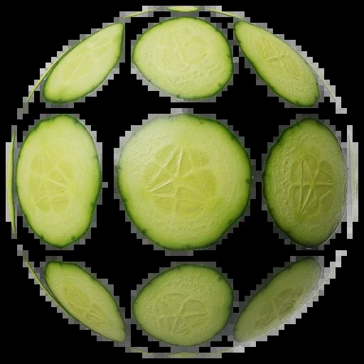 Food Cross Section Set 002