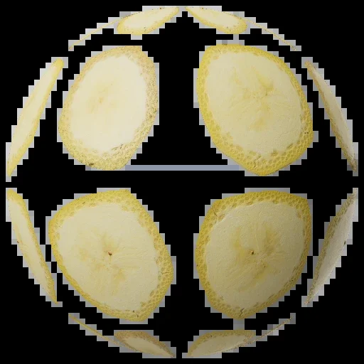 Food Cross Section Set 003