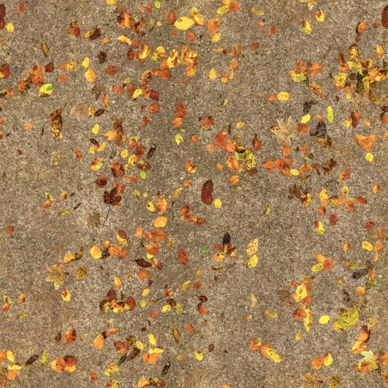 Forest Floor