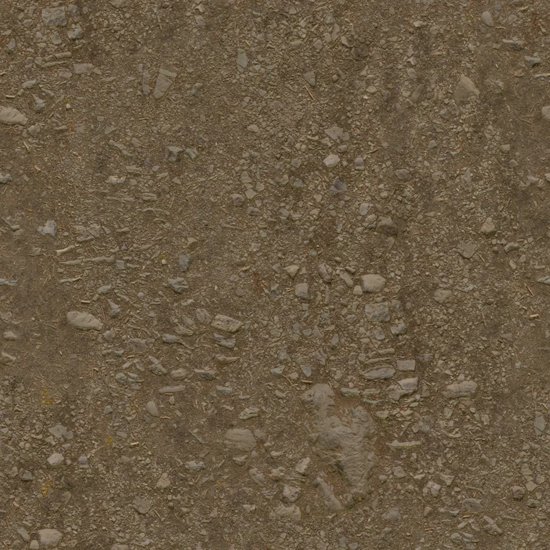 Forest Ground 04