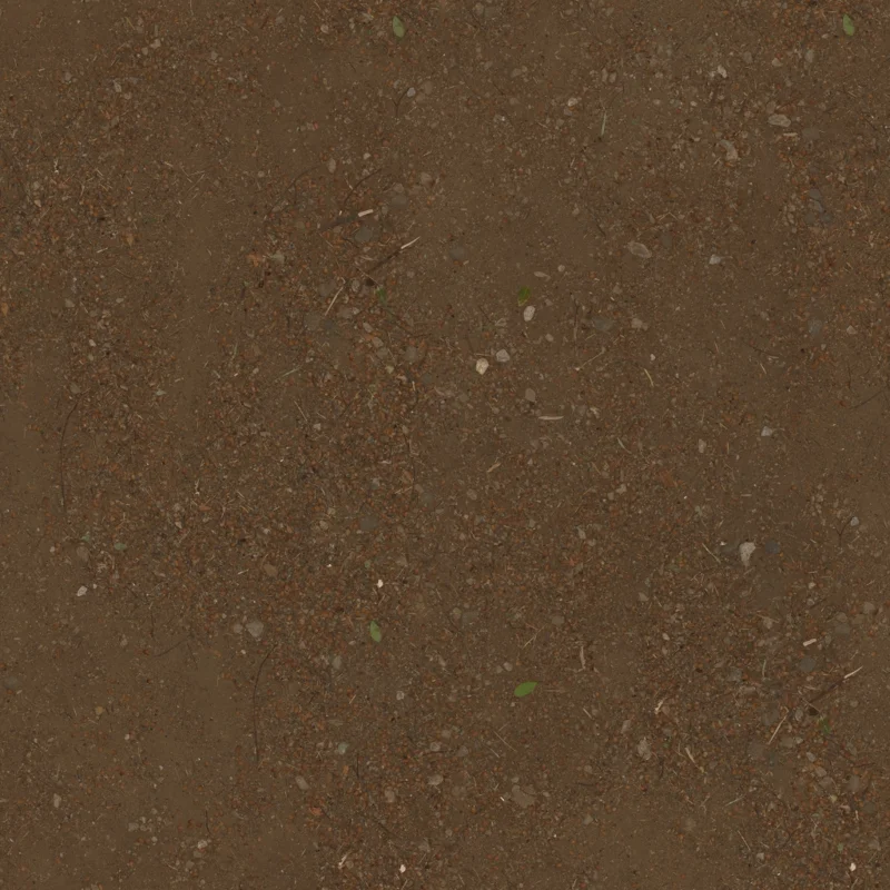 Forest Ground 06