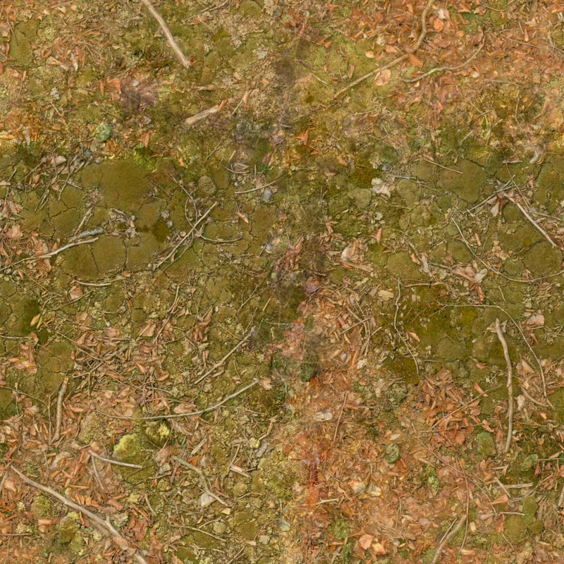 Forest Leaves 02