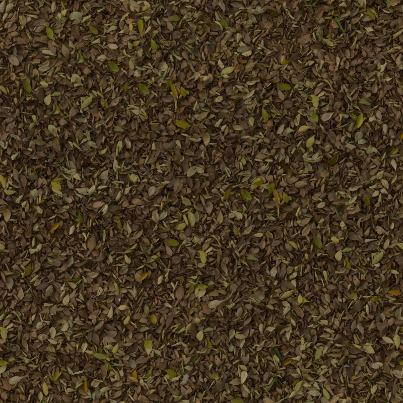Forest Leaves 03