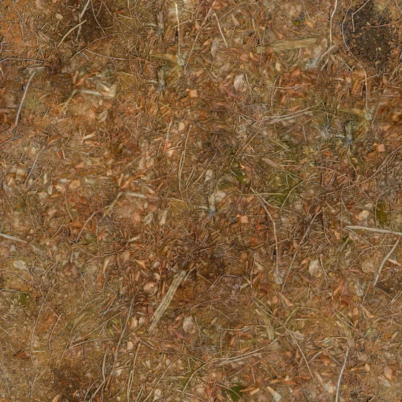 Forest Leaves 04