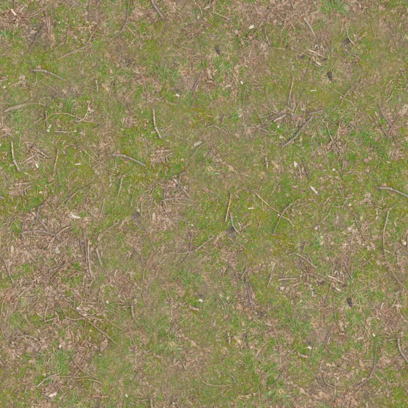 Forest Ground 01
